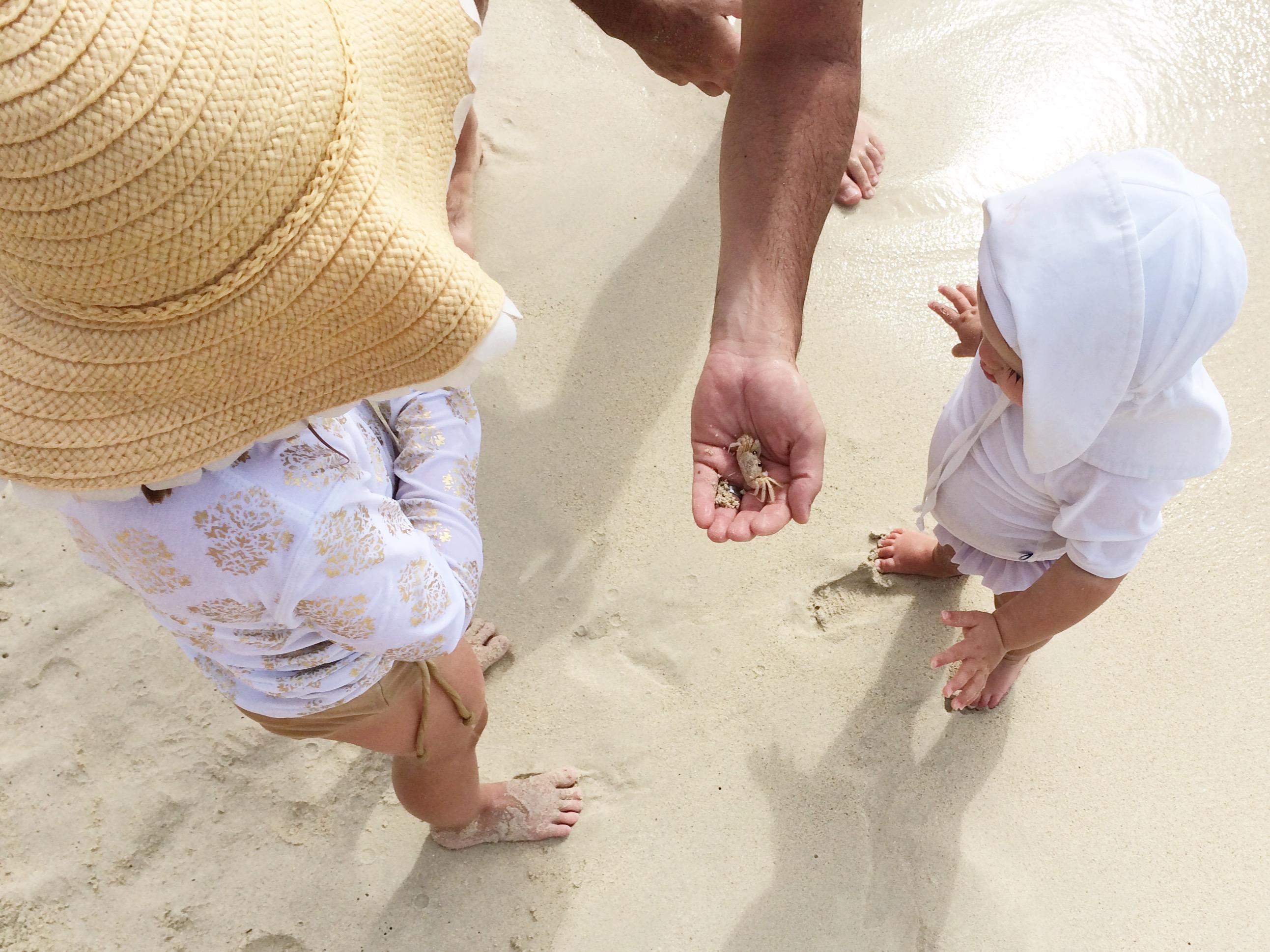 Photo Jun 17, 4 08 37 PM.jpg